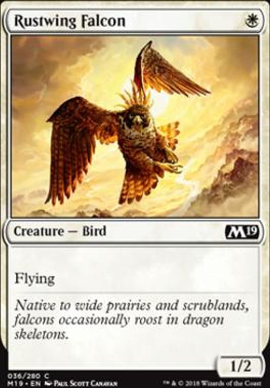 Rustwing Falcon