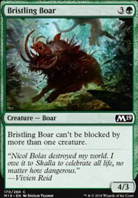 Hovedbilde Bristling Boar