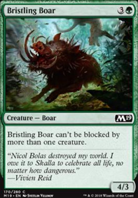 Bristling Boar