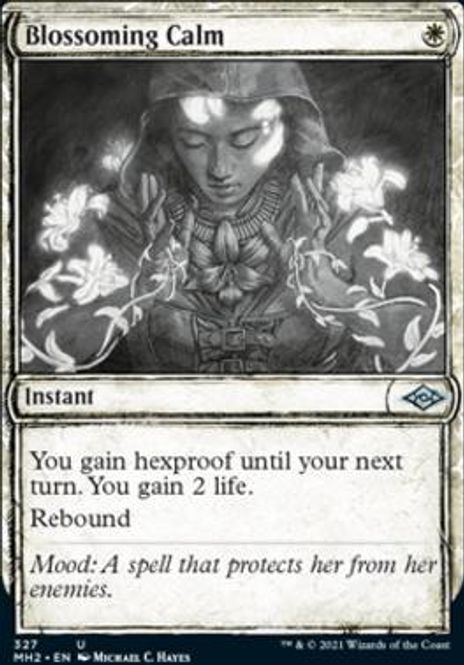 Hovedbilde Blossoming Calm (Showcase)