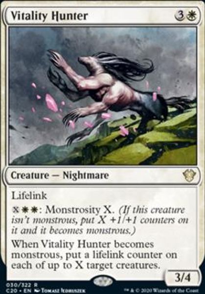 Hovedbilde Vitality Hunter