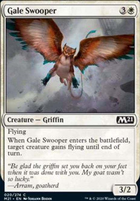 Hovedbilde Gale Swooper