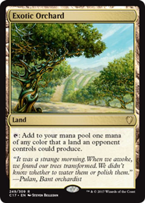 Hovedbilde Exotic Orchard