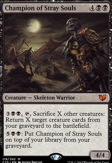 Hovedbilde Champion of Stray Souls