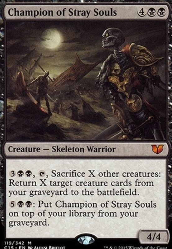 Champion of Stray Souls
