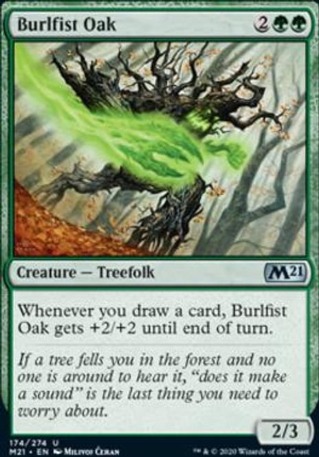 Hovedbilde Burlfist Oak