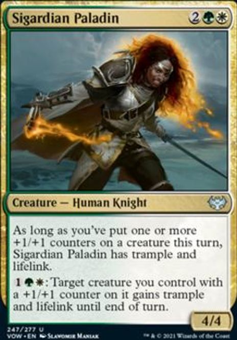 Hovedbilde Sigardian Paladin