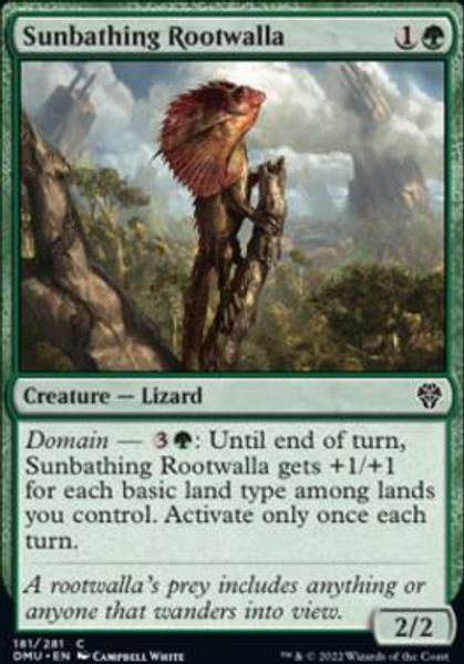 Hovedbilde Sunbathing Rootwalla