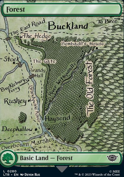 Hovedbilde Forest (0280)