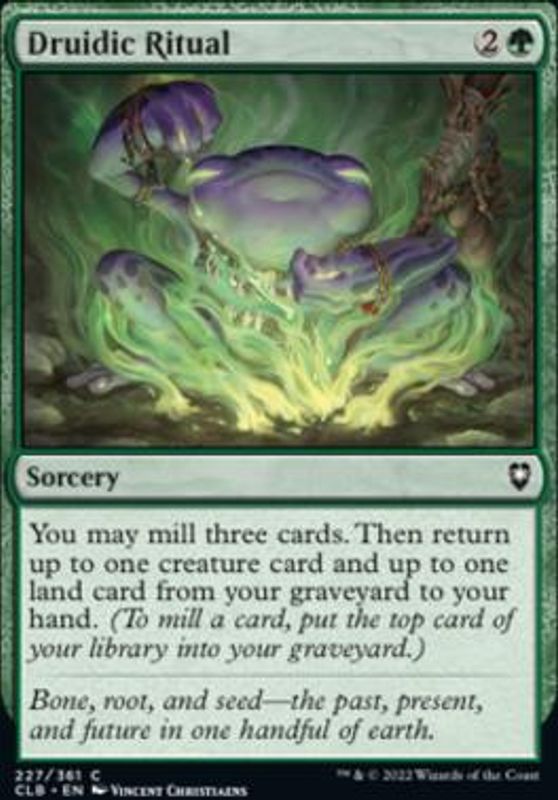 Druidic Ritual (foil)