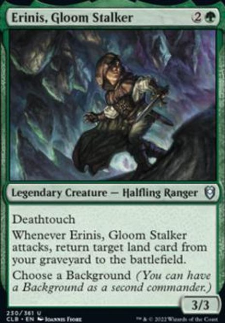 Hovedbilde Erinis, Gloom Stalker