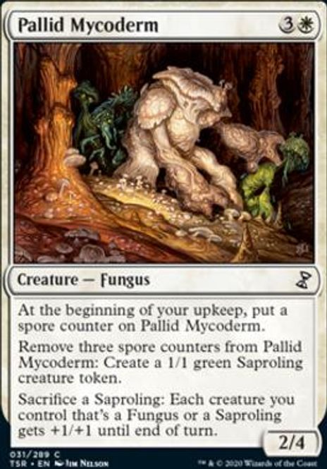 Hovedbilde Pallid Mycoderm