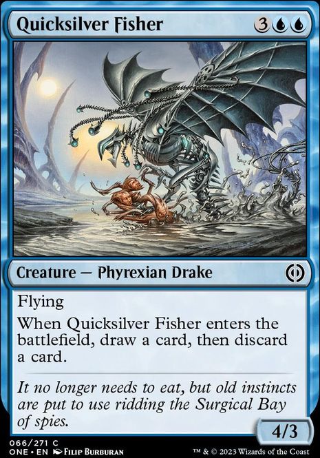 Hovedbilde Quicksilver Fisher
