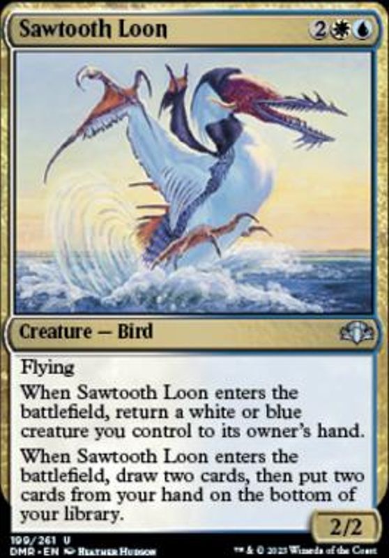 Sawtooth Loon