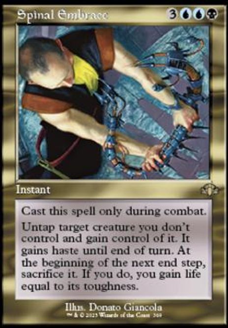 Hovedbilde Spinal Embrace (Retro Frame) ...