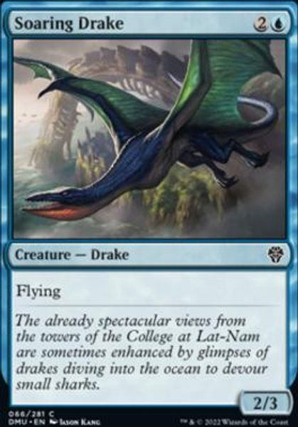 Hovedbilde Soaring Drake