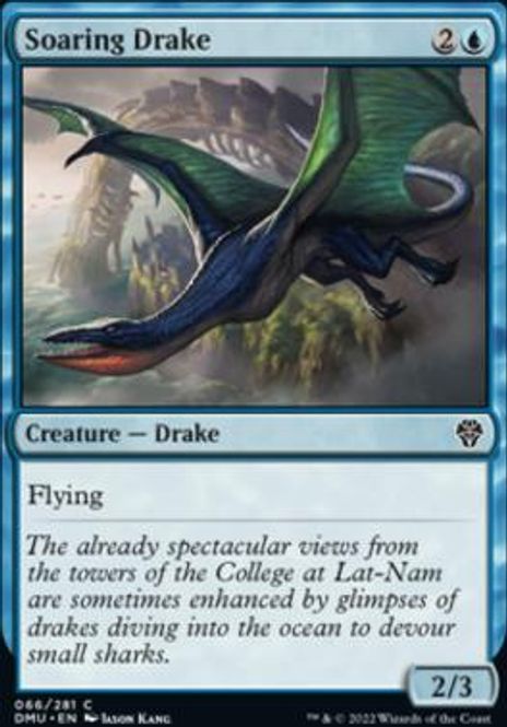 Hovedbilde Soaring Drake