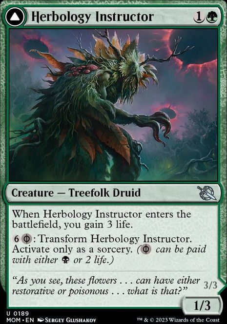 Hovedbilde Herbology Instructor (foil)