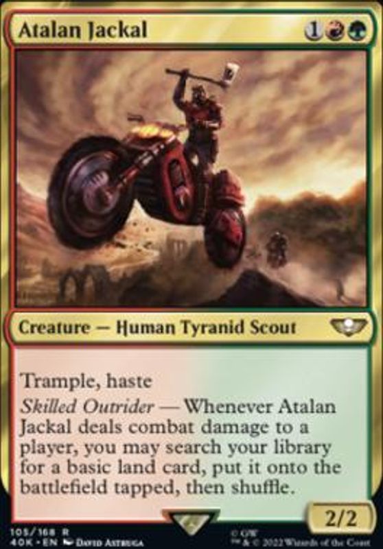 Atalan Jackal