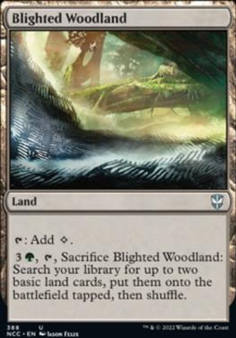 Hovedbilde Blighted Woodland