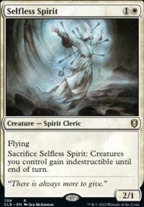 Hovedbilde Selfless Spirit