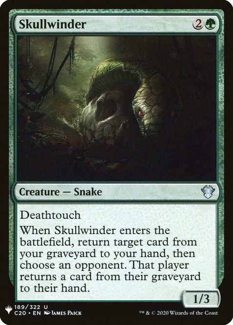 Hovedbilde Skullwinder