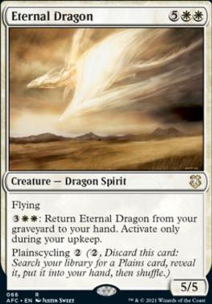 Hovedbilde Eternal Dragon